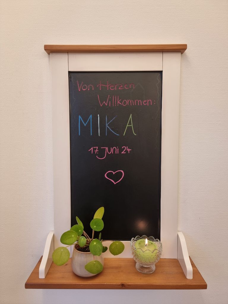 17.06. Mika