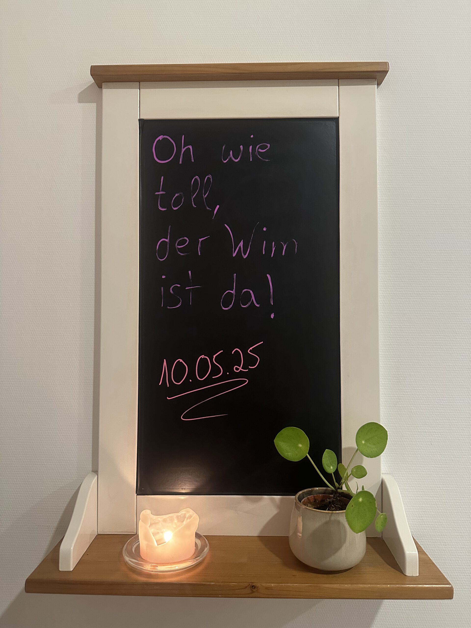 10.05. Wim