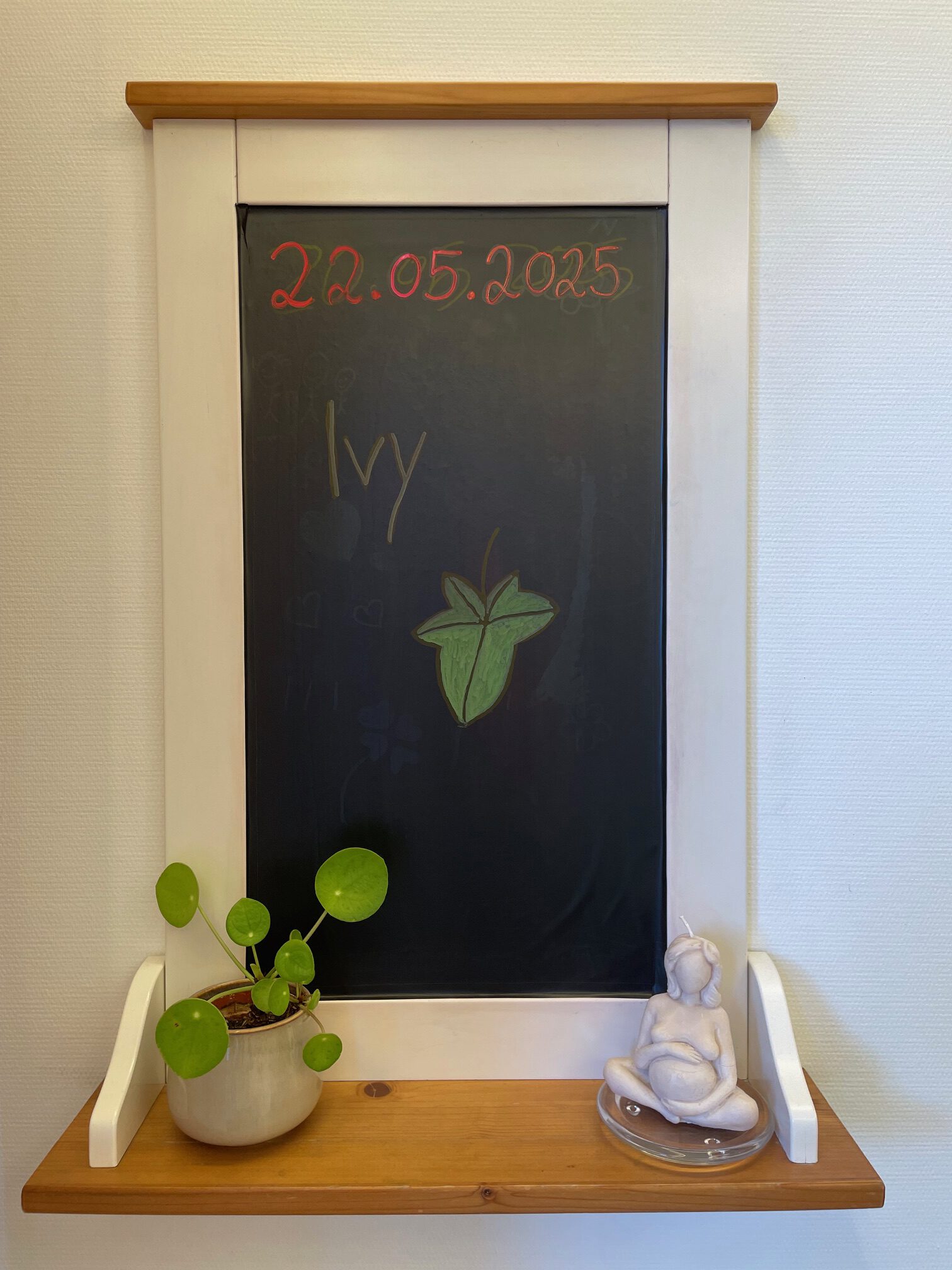 22.05. Ivy