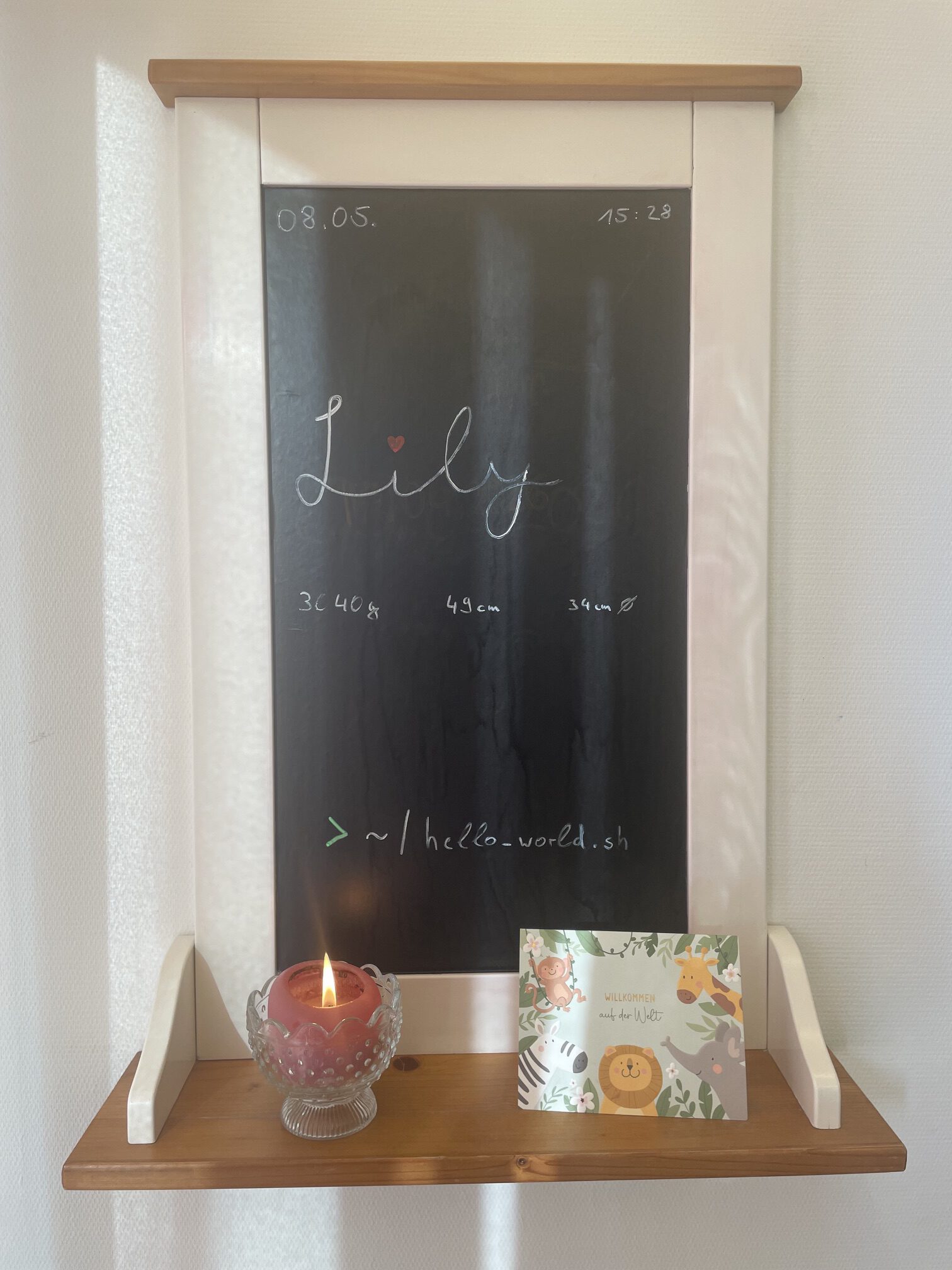 08.05. Lily