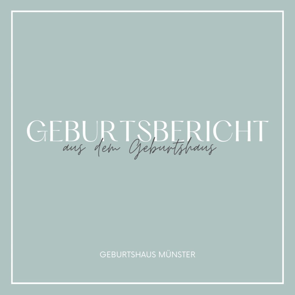 Erfahrungsbericht